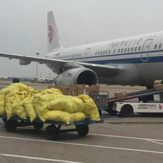 Рейсы отправляются из Шанхая в Австралию от двери до двери FCL Shipping Agency Ups Ddp Service