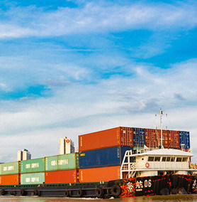 FOB CIF EXW DDU&DDP Транспортировщик от двери к двери в США Международная морская перевозка