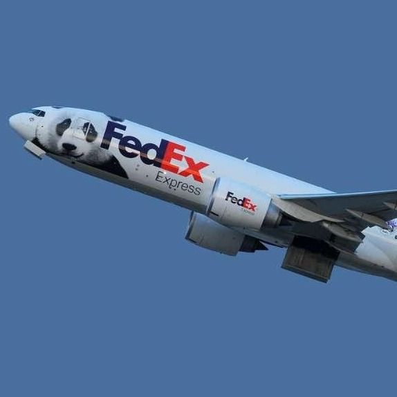 Зарубежная от двери до двери Международная доставка по воздуху FedEx UPS из Шанхая, Китай в Израиль