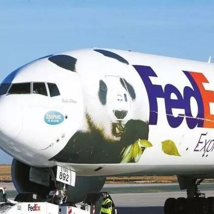 Срочная поставка к Франции поднимает дверь DHL Federal Express к доставке двери международной