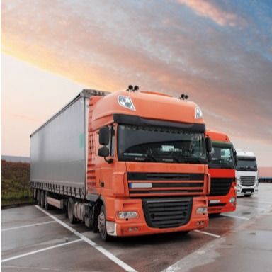 Море Ddp грузя DHL Federal Express от Китая Шанхая к Испании Люксембургу Португалии повсеместно в тележка Европы