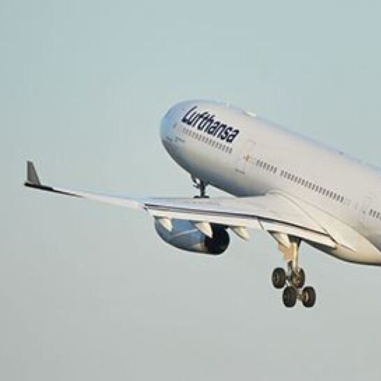 CNF Отгрузка из Китая в Бразилию Ливан EXW FEDEX Воздушный груз DDP Международная перевозка